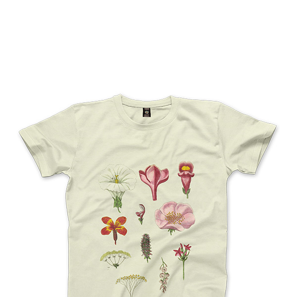 shop-img-3-gallery-2 i