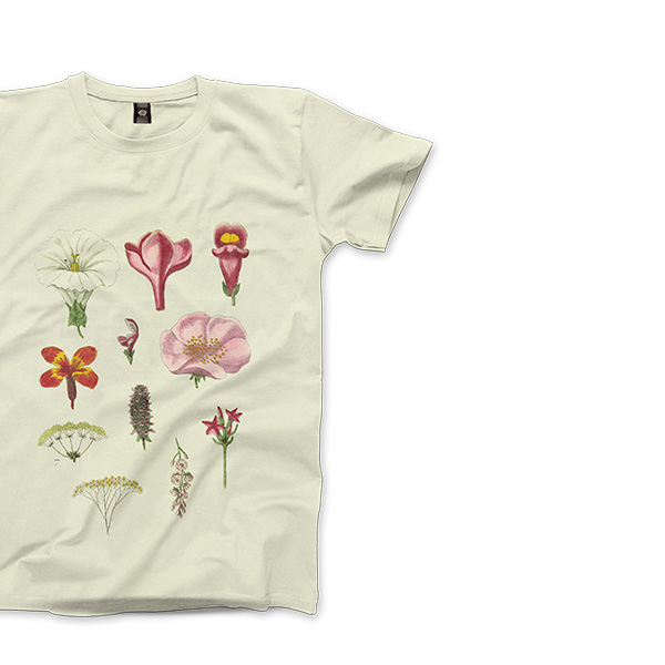 shop-img-3-gallery-3 i